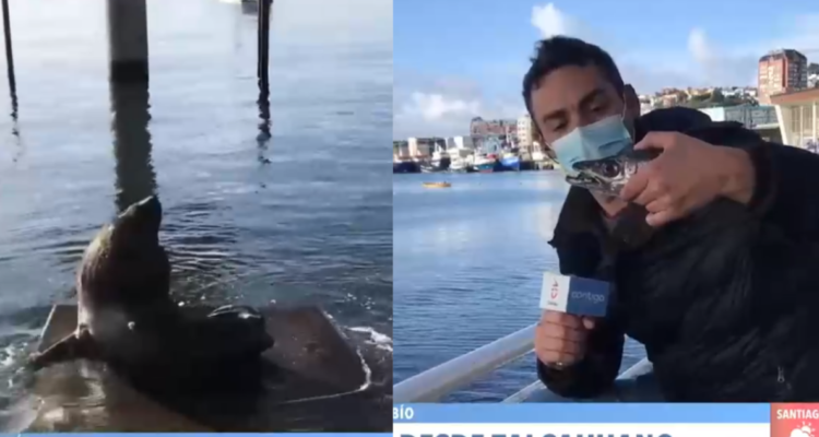 Capturas | Chilevisión