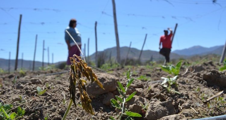CONTEXTO | Agencia UNO