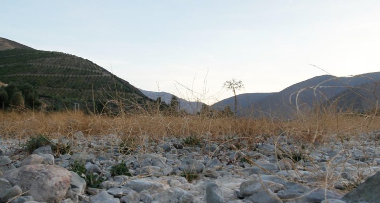 Agencia Uno | Contexto: Petorca, Región de Valparaíso