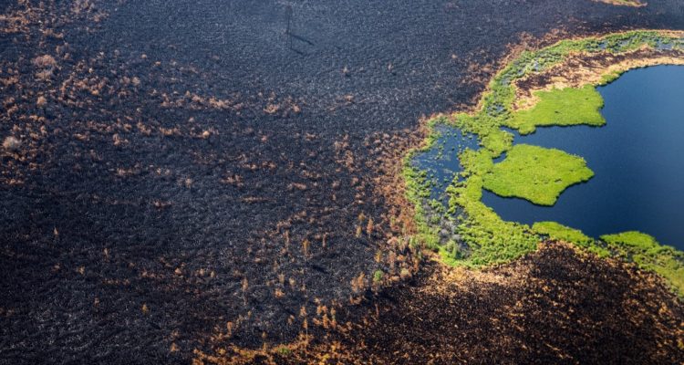 Dimitar Dilkoff | Agence France-Presse