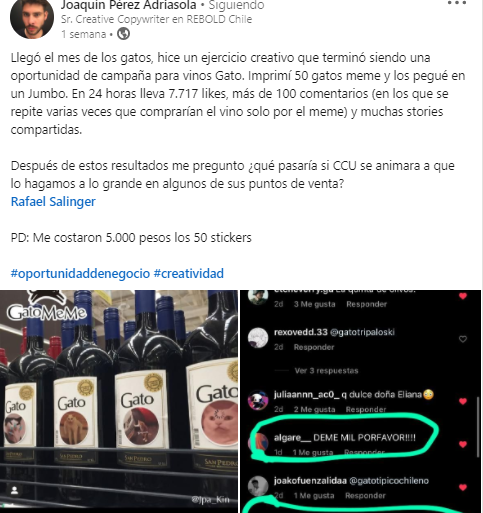 linkedin-gato-memes-vino