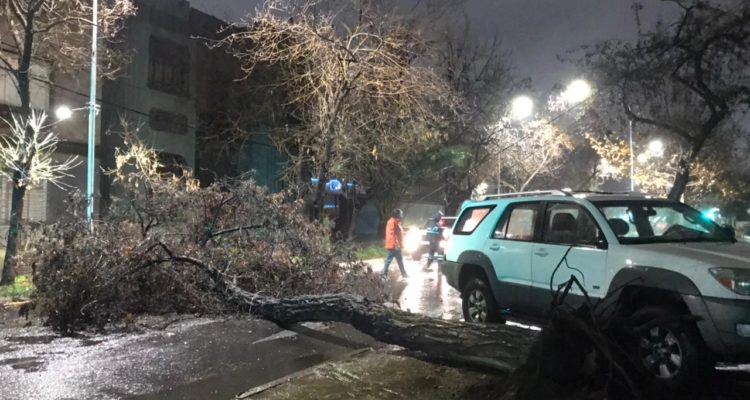 Sofía Carrizo (RBB)