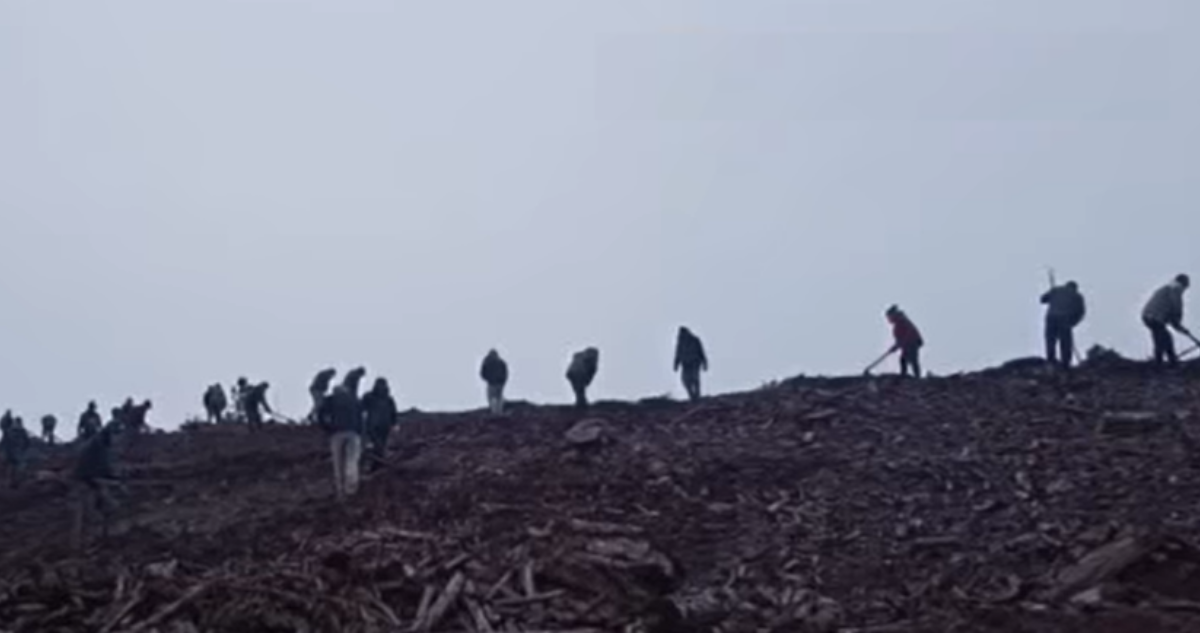 Captura de video | Werkén Noticias | Facebook