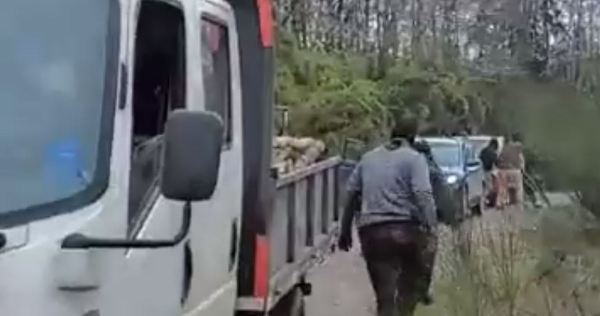Captura de video