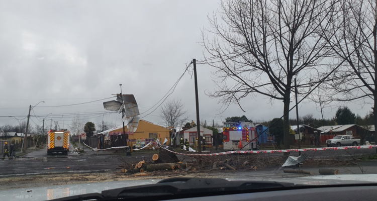 @jpalfaroherrera | Twitter