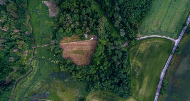 D. Frymark | Antiquity Publications Ltd.