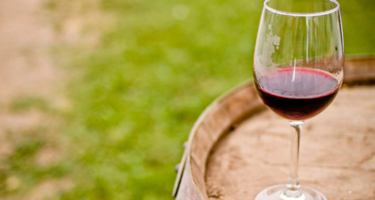 ARCHIVO | Hans Scott | Agencia UNO