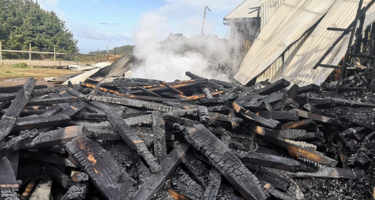 Pedro Cid | RBB Concepción