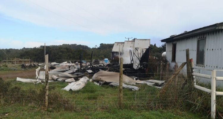 Pedro Cid | RBB Concepción