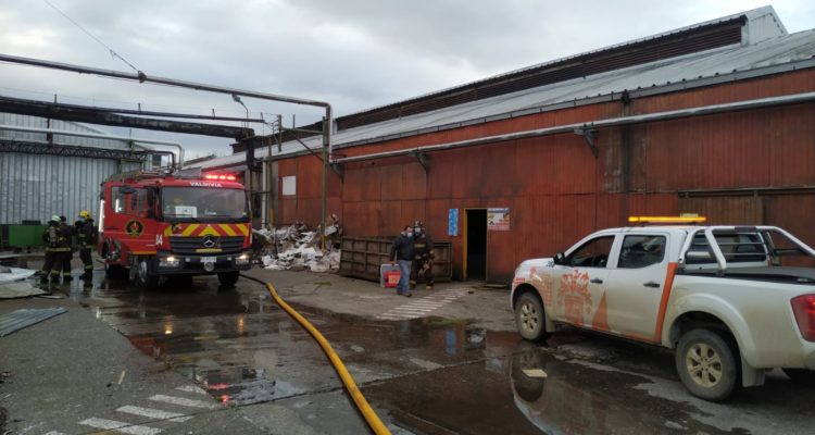 Wladimir Millan | RBB Valdivia