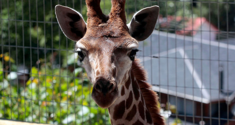 Archivo | Agencia UNO