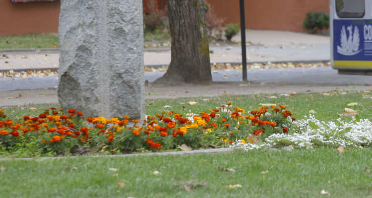 CONTEXTO | Sebastián Brogca | Agencia UNO