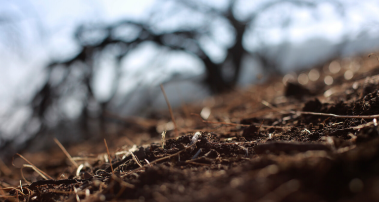 Contexto | Agencia UNO 