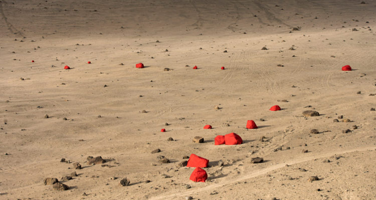 Bienal de Arte Contemporáneo SACO