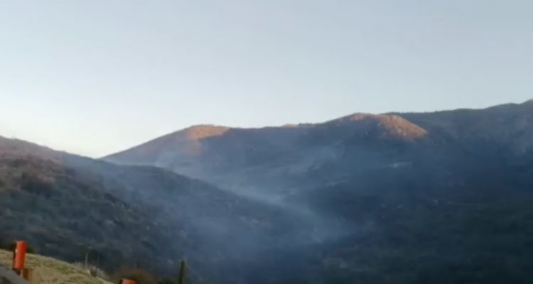 Christian Borcoski | RBB