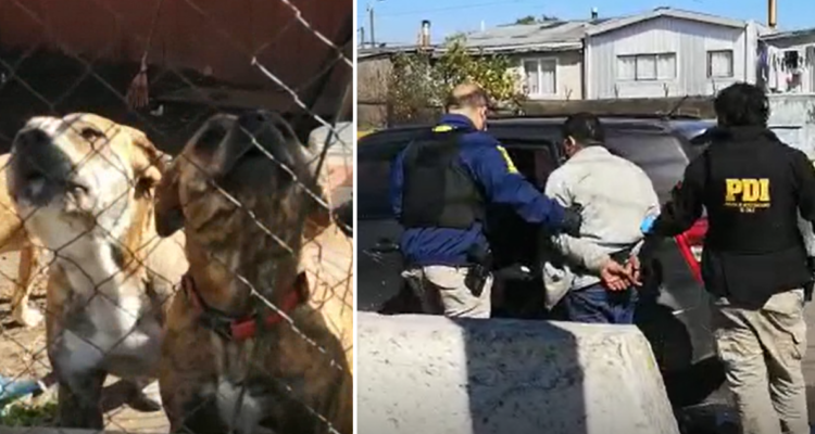 Capturas de video | Pedro Cid | RBB