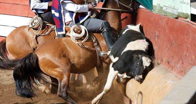 ARCHIVO | Sebastian Brogca | Agencia UNO