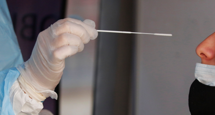 brote delta araucanía