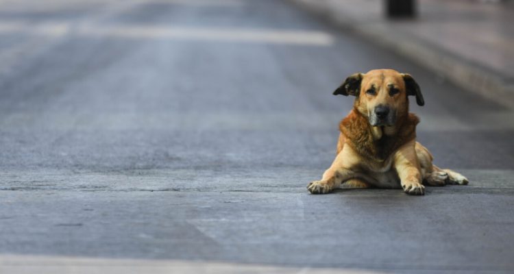 CONTEXTO | Camilo Alfaro | Agencia UNO