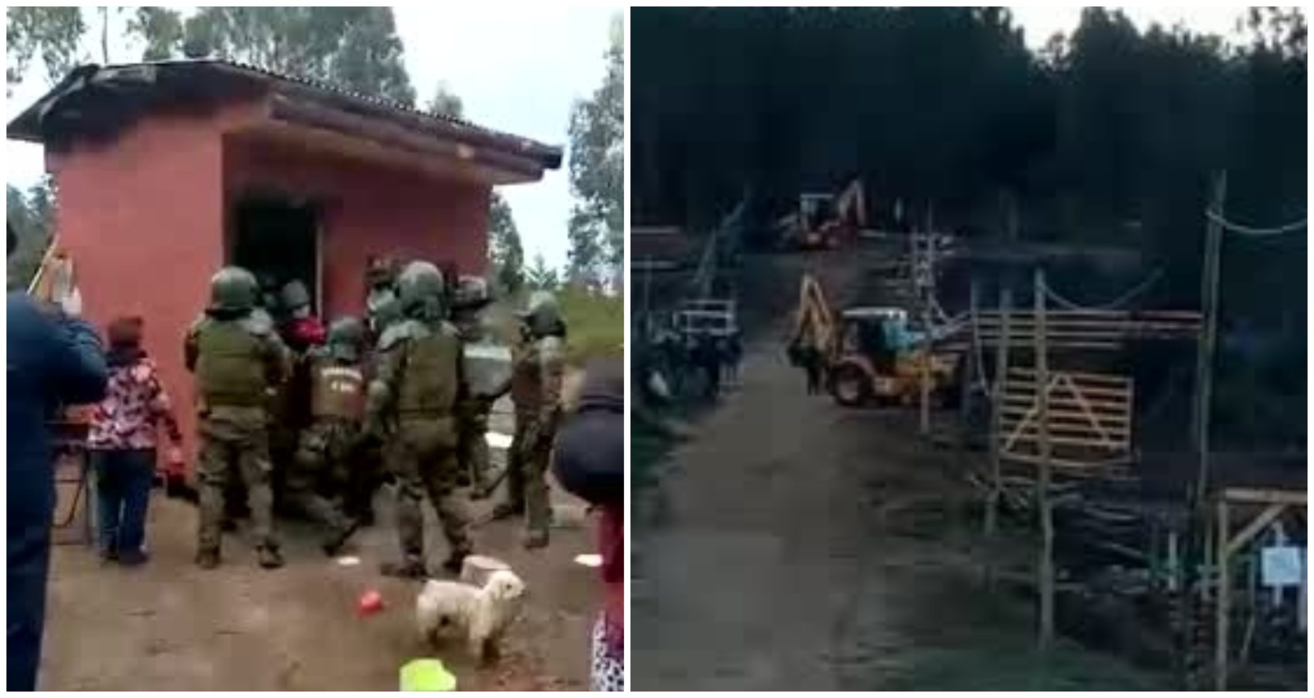 Capturas de video