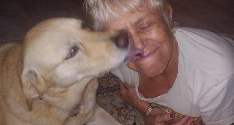 suzan-marciano-perro-caiman