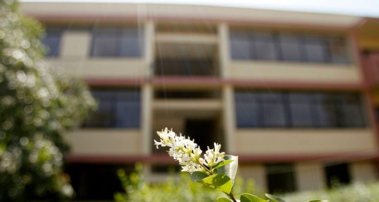 Ley-de-arrendatarios