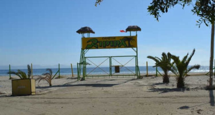 dispararle con una escopeta