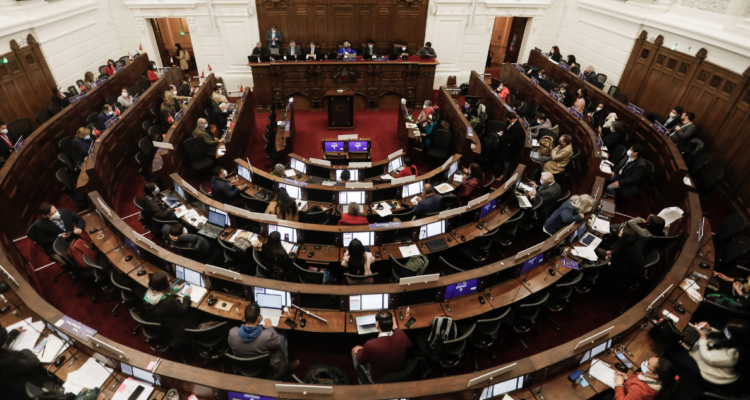 convención cosntitucional