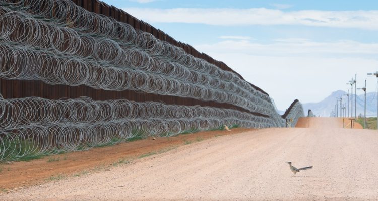 correcaminos-muro-estados-unidos-méxico