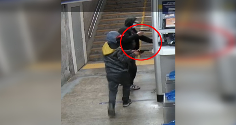 estación villa alemana