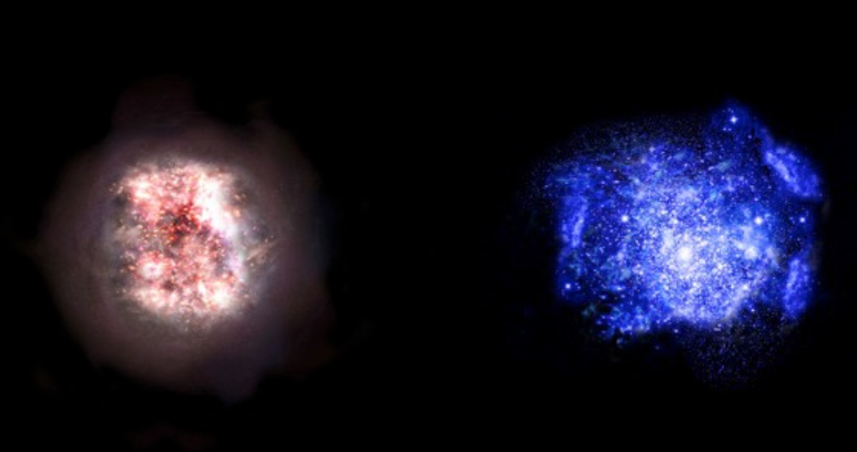 galaxias