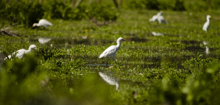 CONTEXTO | Agencia UNO