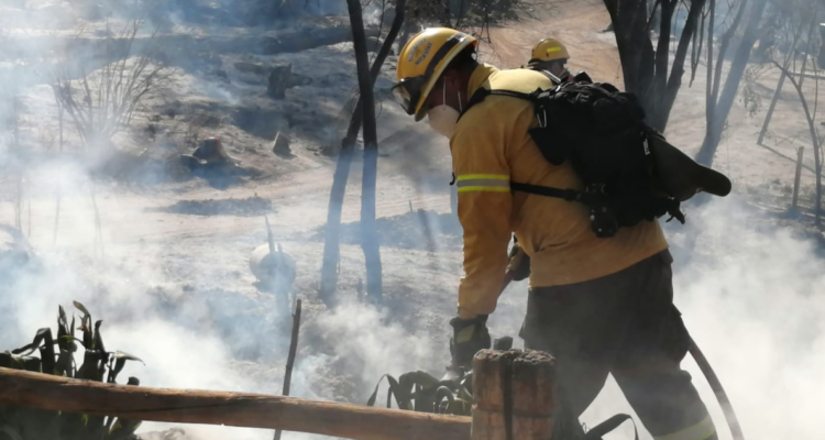 Christian Borcoski | RBB