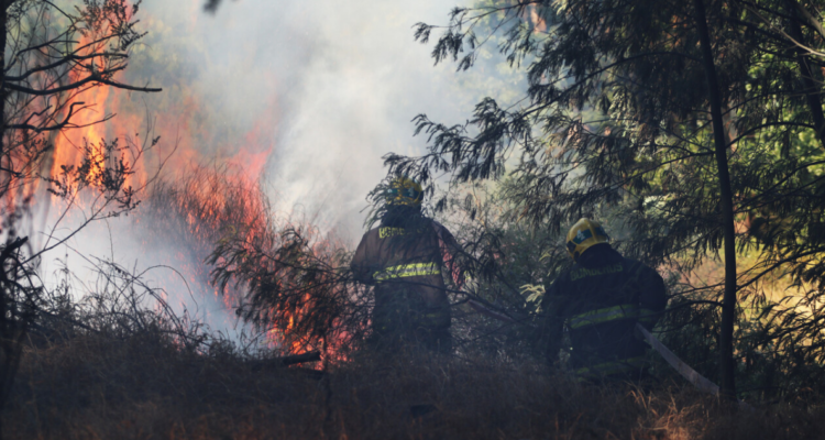 Contexto | Agencia UNO 