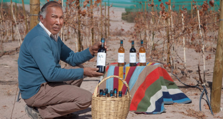 Catad’Or Wine Wards 2021 | Indap