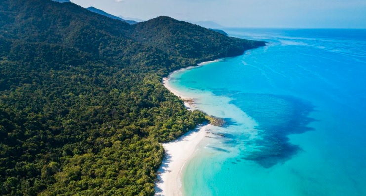 indigenas-recuperan-selva-tropical-antigua-mundo