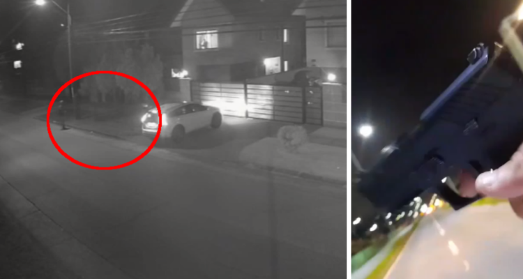 jactaron video portonazo