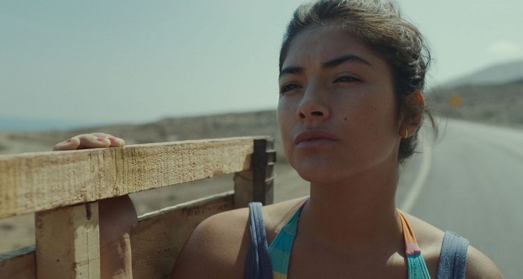 La Francisca, Rodrigo Litorriaga  (c)