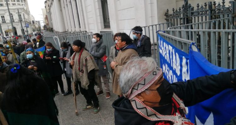 Daniela Ruiz-Tagle | RBB