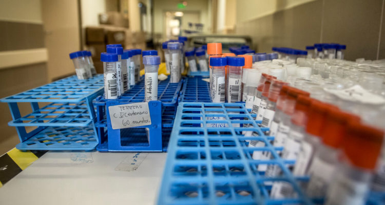 minsal-baja-casos-desplome-testeo-pcr