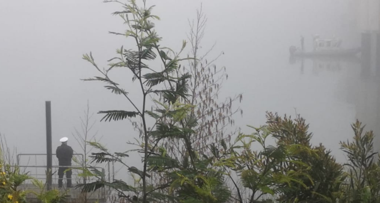 mujer río calle calle