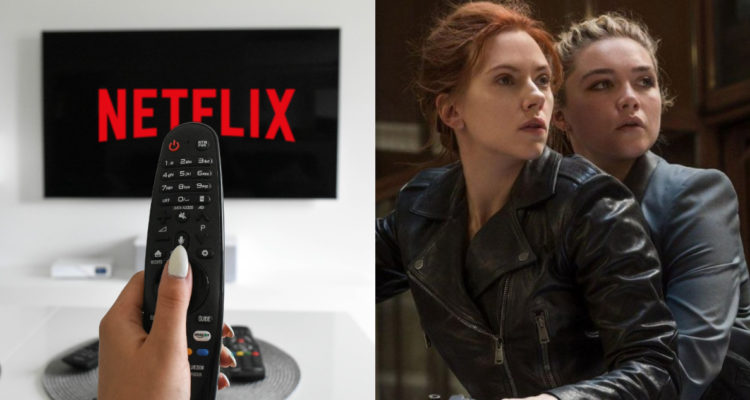 Pixabay | Black Widow