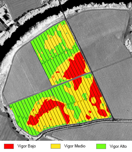 Cartografía de un predio con estimación del vigor del cultivo mediante fotogrametría de imágenes tomadas por un dron