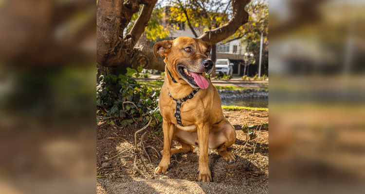 Cedida a BBCL | David Fernández