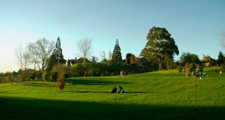 Parque Alessandri Nacimiento | CMPC