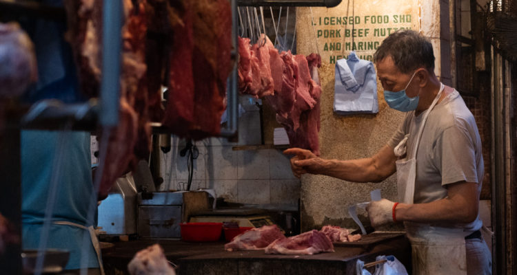 Peste porcina africana la nueva posible amenaza para China y sus vecinos, según expertos