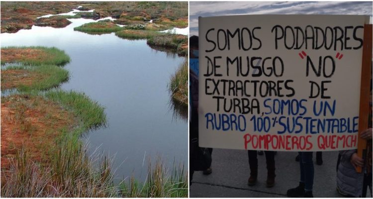 mnhn.gob.cl | Cedida a RBB