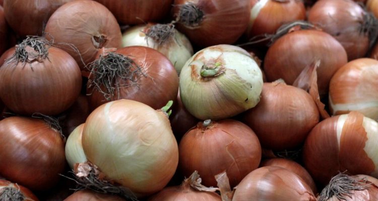 ARCHIVO | Francisco Castillo | Agencia UNO