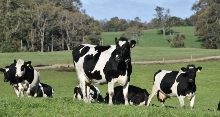 Contexto | Agencia UNO