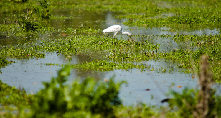  CONTEXTO | Agencia UNO
